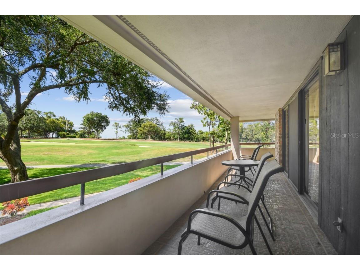 36750 Us Highway 19 N #13202 Palm Harbor FL 34684 U8247308 image3