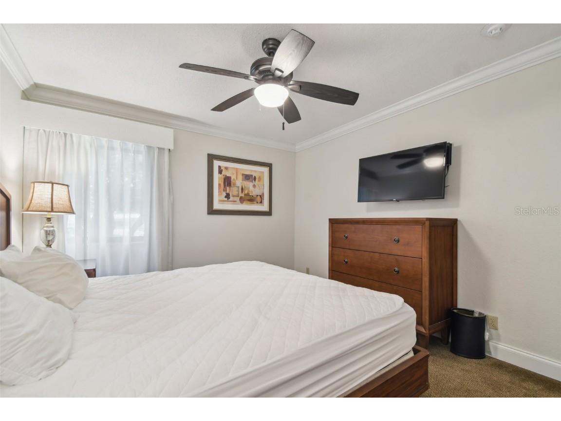 36750 Us Highway 19 N #13202 Palm Harbor FL 34684 U8247308 image36