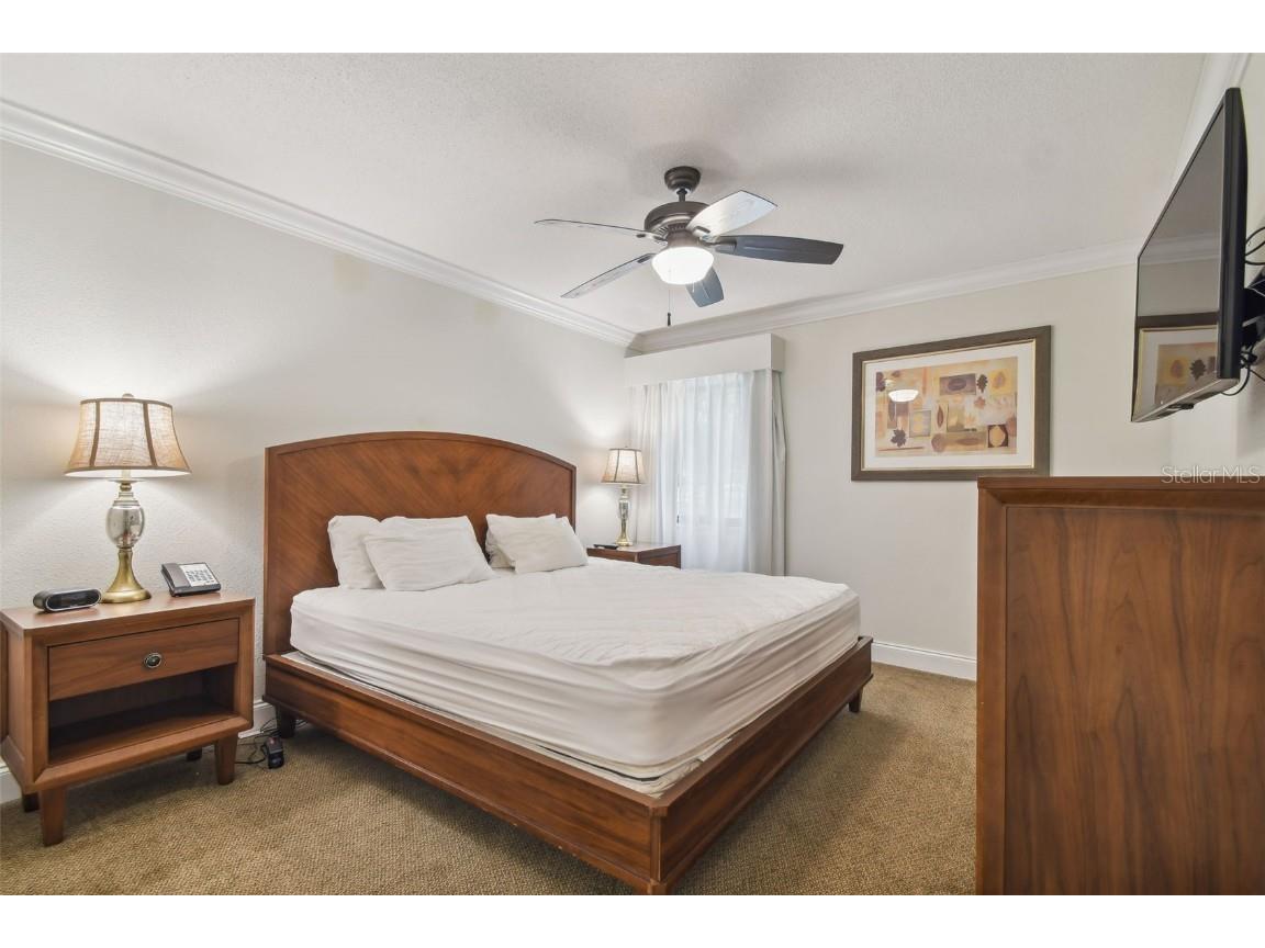 36750 Us Highway 19 N #13202 Palm Harbor FL 34684 U8247308 image37