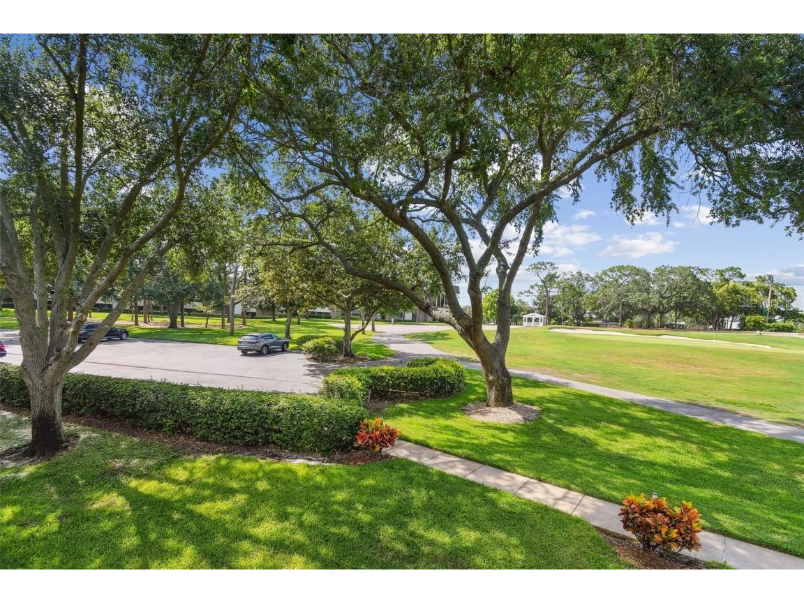 36750 Us Highway 19 N #13202 Palm Harbor FL 34684 U8247308 image4