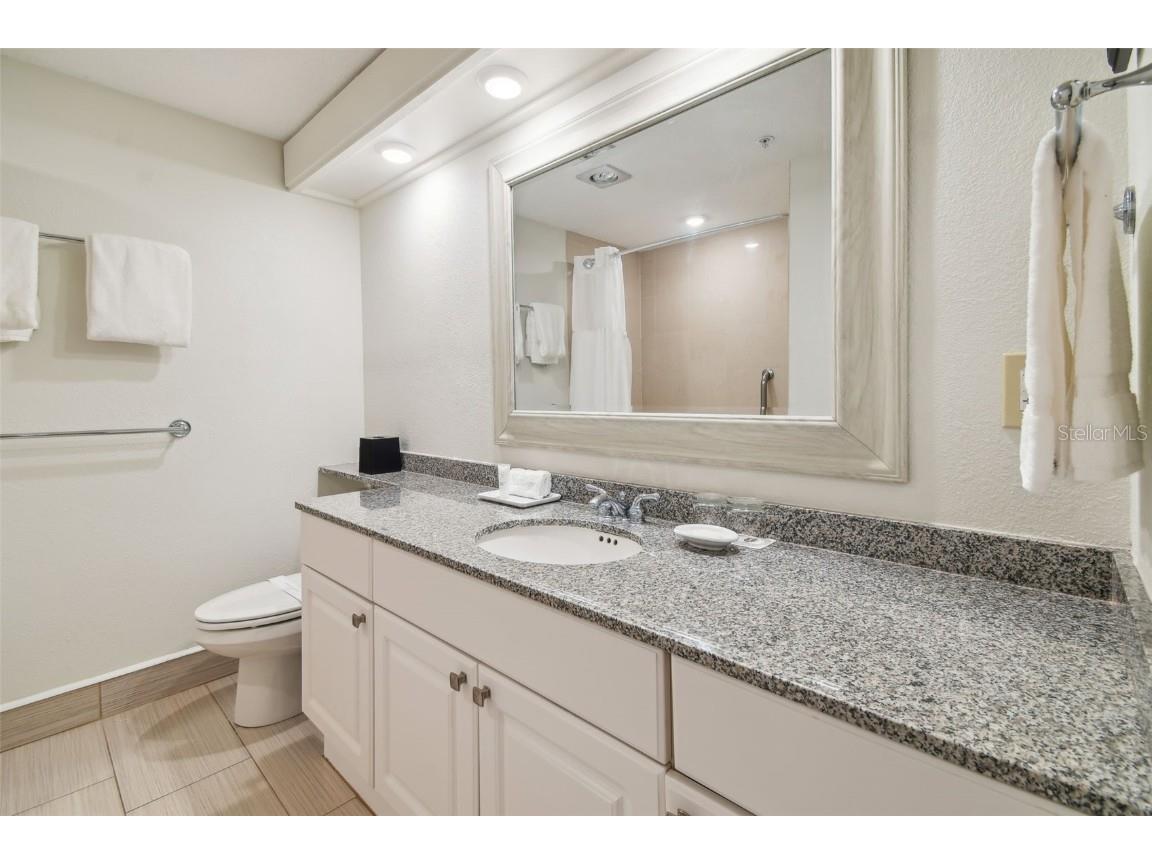 36750 Us Highway 19 N #13202 Palm Harbor FL 34684 U8247308 image41