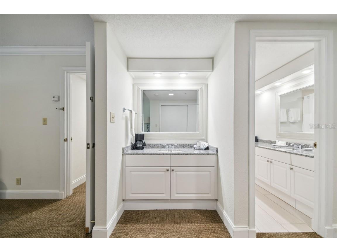 36750 Us Highway 19 N #13202 Palm Harbor FL 34684 U8247308 image42