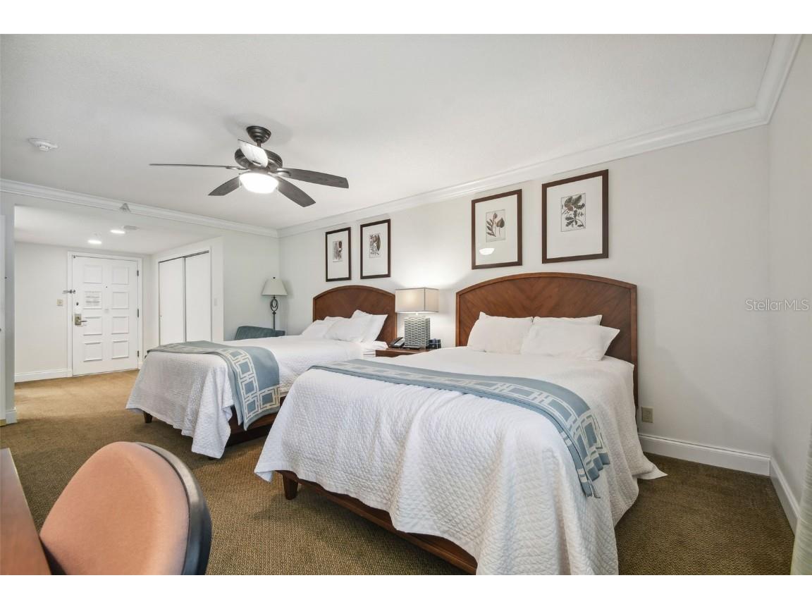 36750 Us Highway 19 N #13202 Palm Harbor FL 34684 U8247308 image47