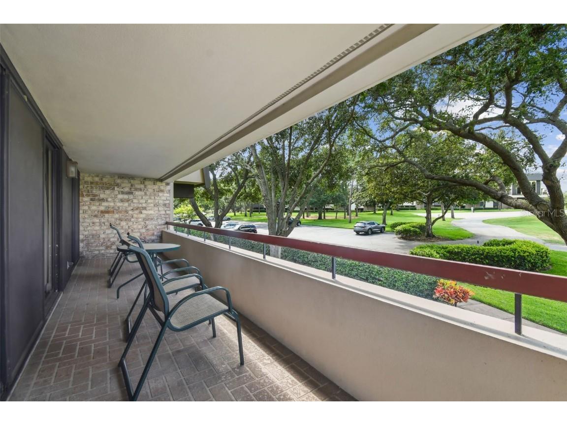 36750 Us Highway 19 N #13202 Palm Harbor FL 34684 U8247308 image5