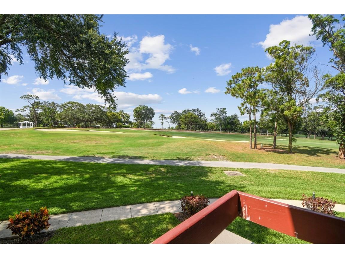 36750 Us Highway 19 N #13202 Palm Harbor FL 34684 U8247308 image6