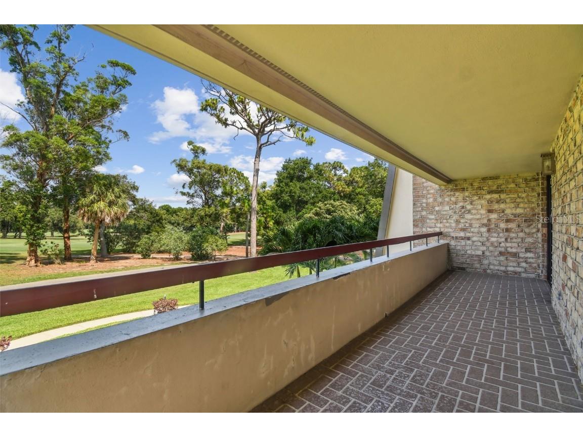 36750 Us Highway 19 N #13202 Palm Harbor FL 34684 U8247308 image7