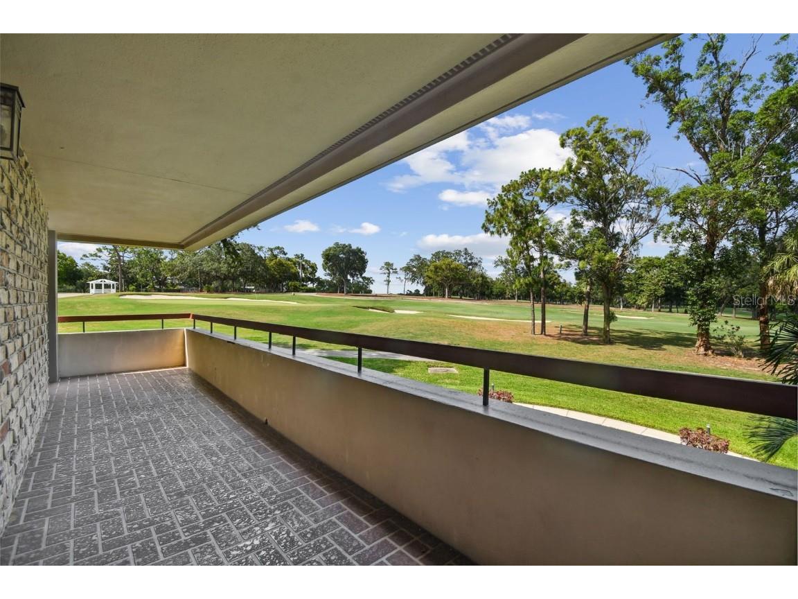 36750 Us Highway 19 N #13202 Palm Harbor FL 34684 U8247308 image9