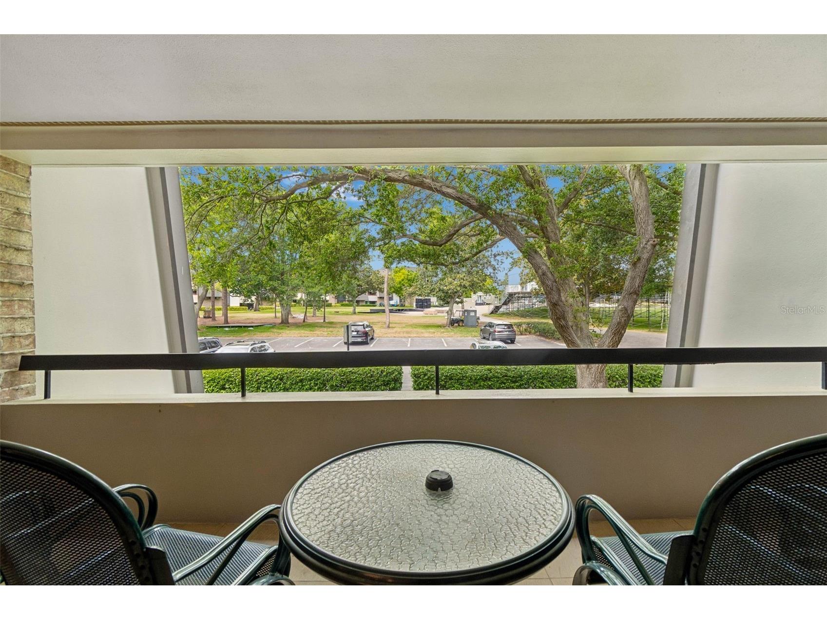 36750 Us Highway 19 N #13204 Palm Harbor FL 34684 TB8494354 image38