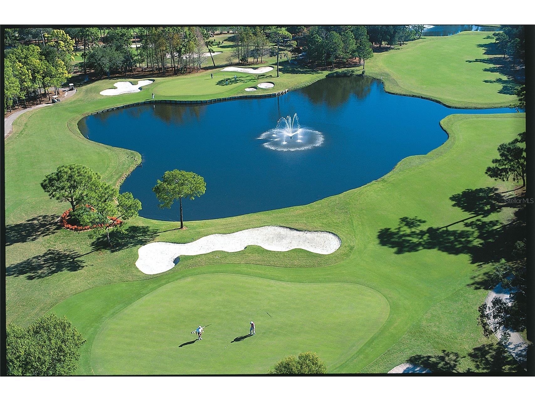 36750 Us Highway 19 N #13204 Palm Harbor FL 34684 TB8494354 image65