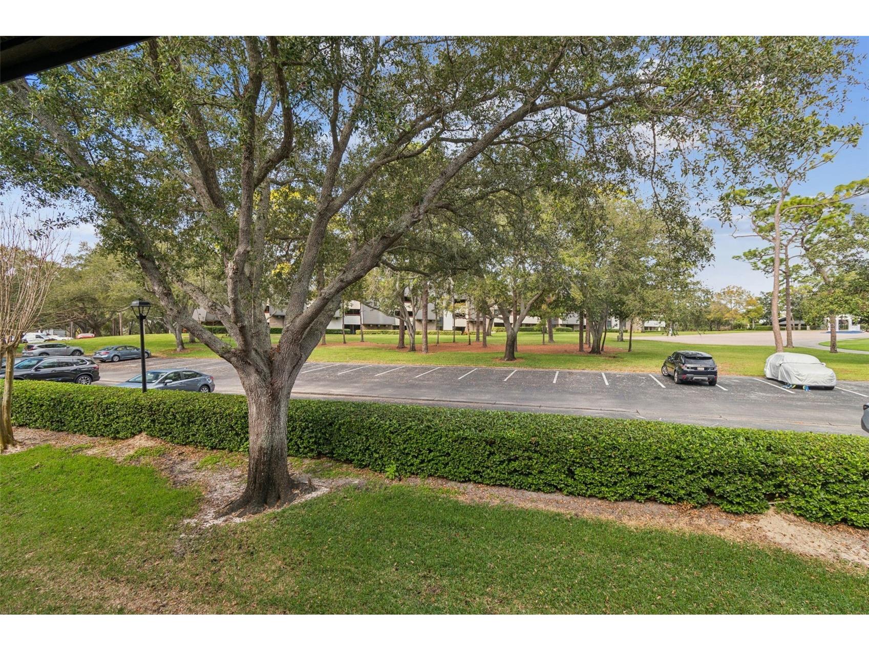 36750 Us Highway 19 N #13207 Palm Harbor FL 34684 TB8462963 image28