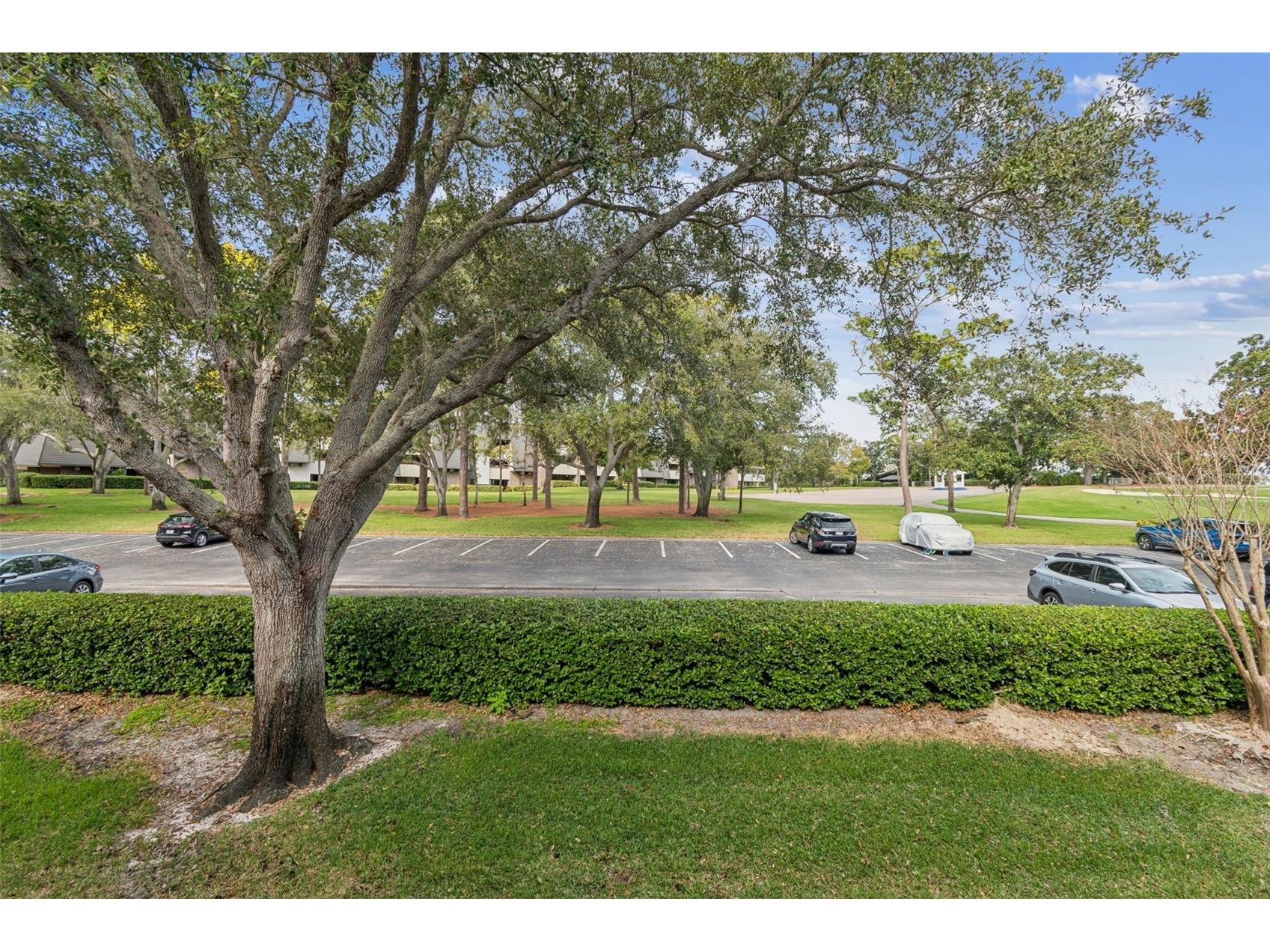 36750 Us Highway 19 N #13207 Palm Harbor FL 34684 TB8462963 image29