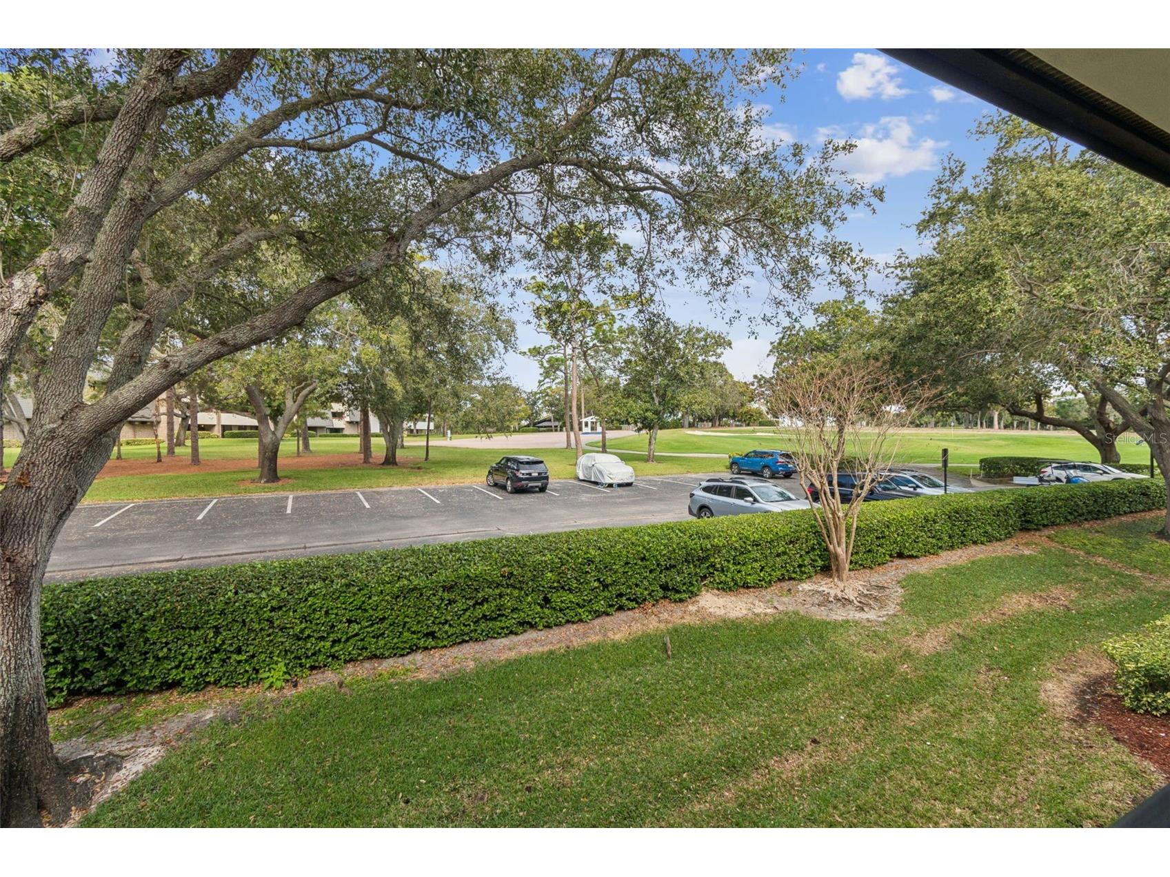 36750 Us Highway 19 N #13207 Palm Harbor FL 34684 TB8462963 image30