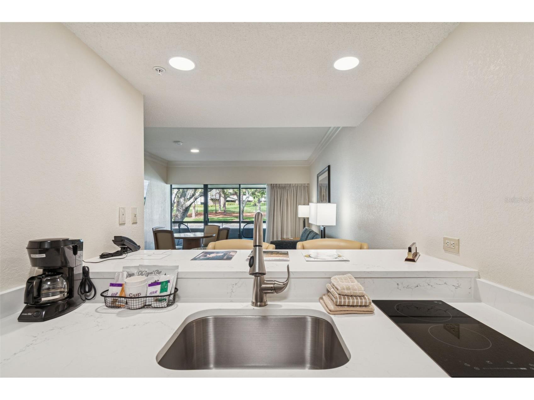 36750 Us Highway 19 N #13207 Palm Harbor FL 34684 TB8462963 image9
