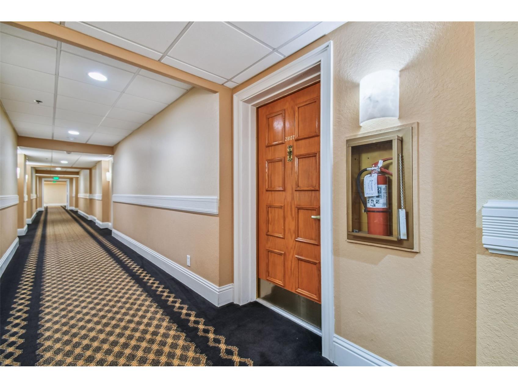 36750 Us Highway 19 N #13303 Palm Harbor FL 34684 TB8460324 image18