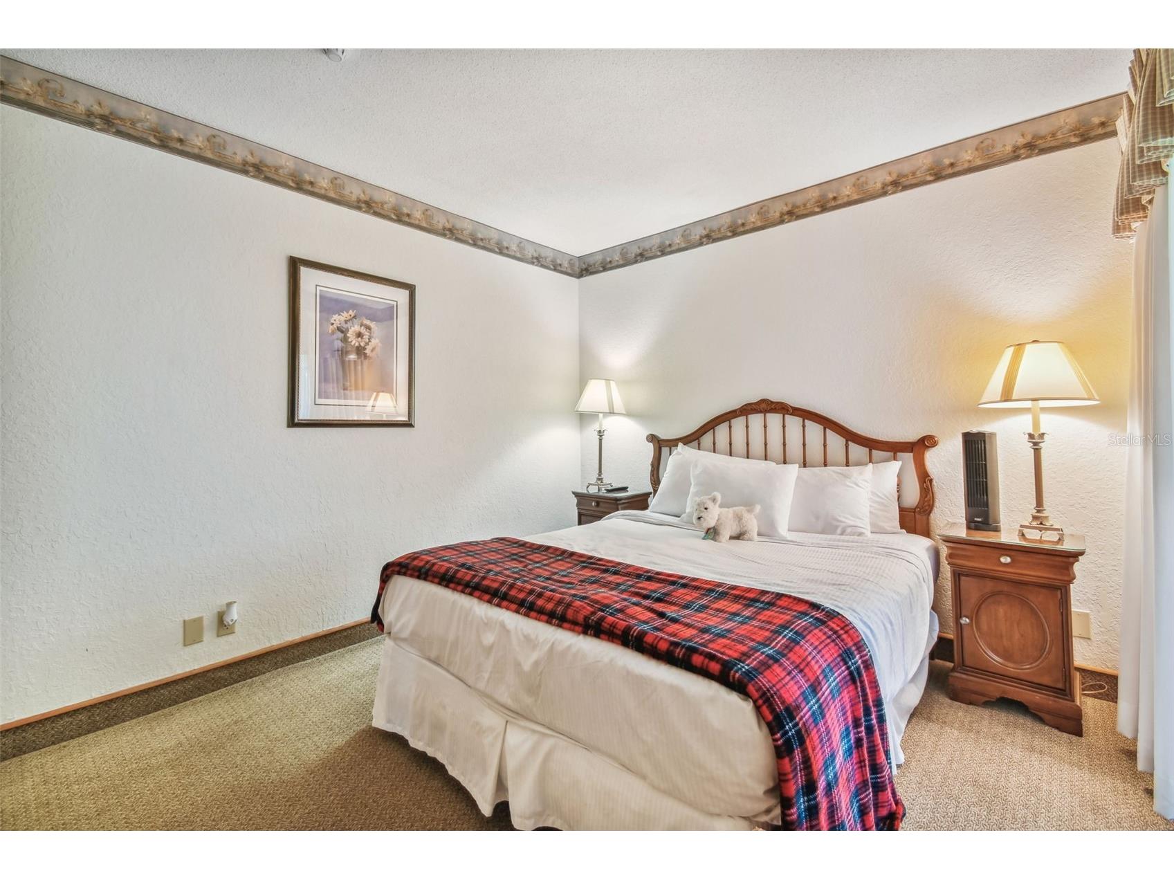 36750 Us Highway 19 N #13303 Palm Harbor FL 34684 TB8460324 image20