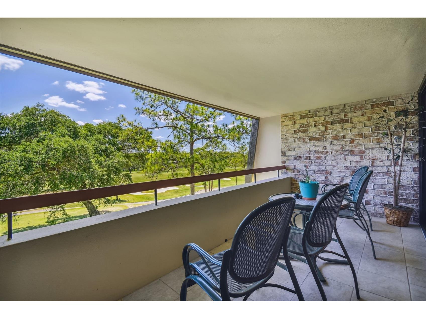 36750 Us Highway 19 N #13303 Palm Harbor FL 34684 TB8460324 image40