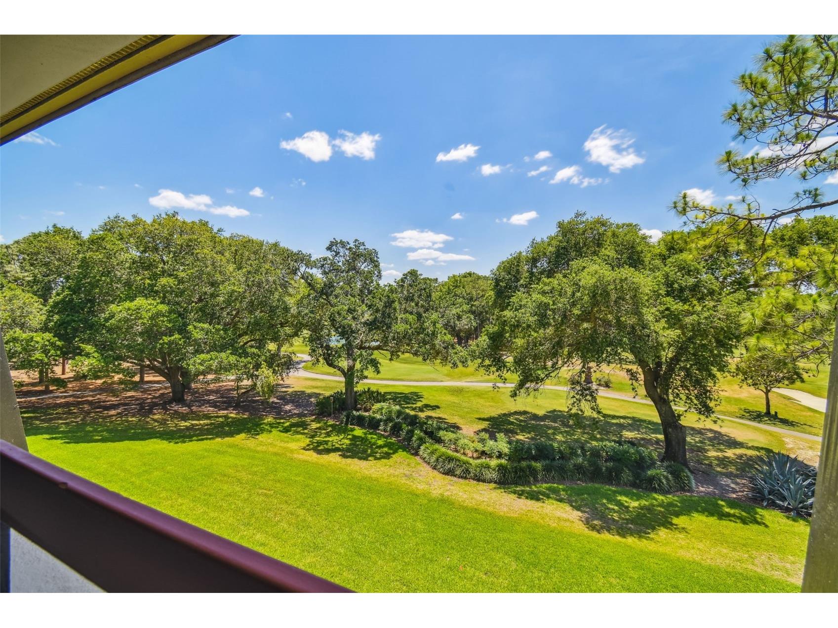 36750 Us Highway 19 N #13303 Palm Harbor FL 34684 TB8460324 image42