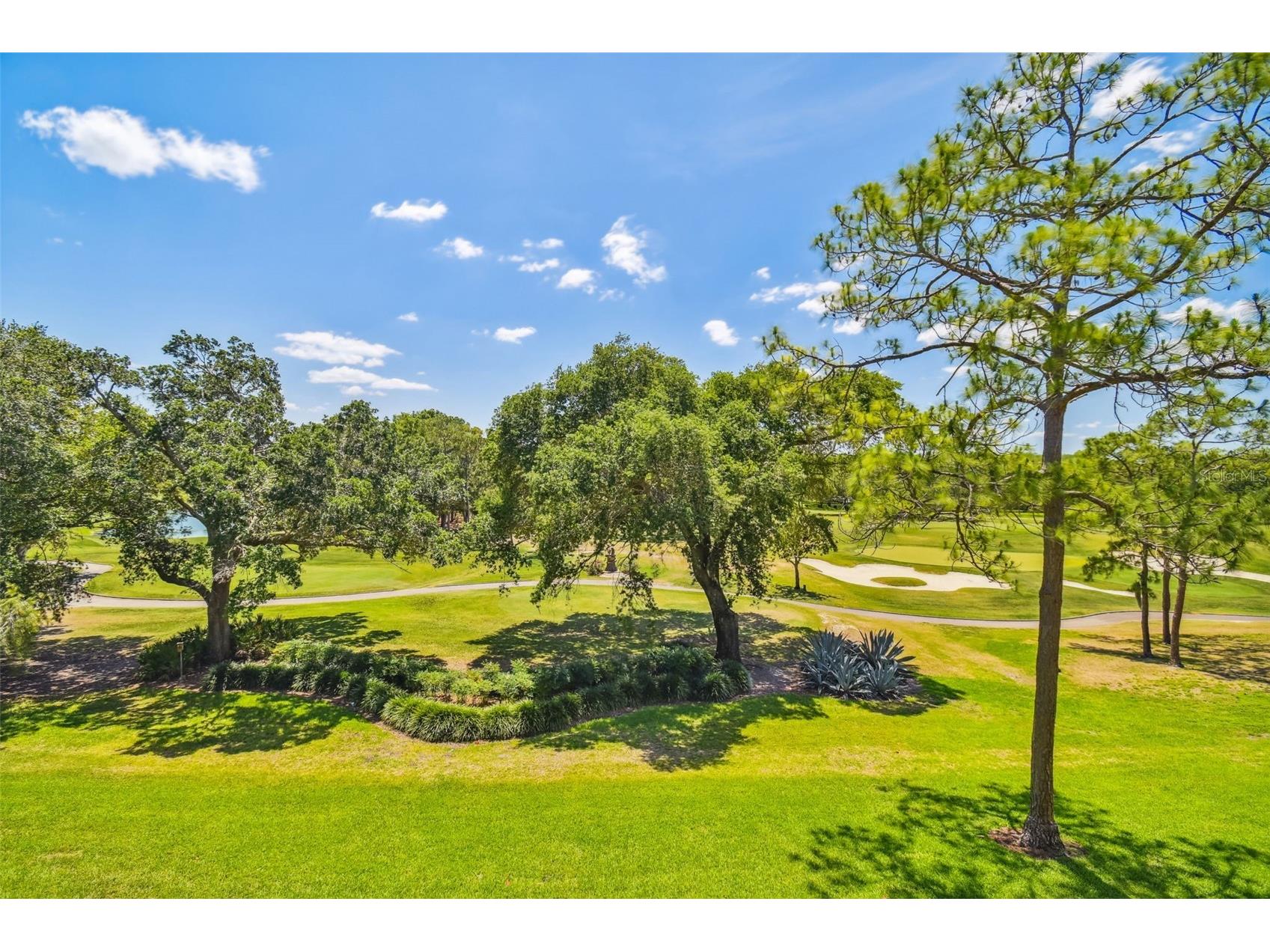 36750 Us Highway 19 N #13303 Palm Harbor FL 34684 TB8460324 image43