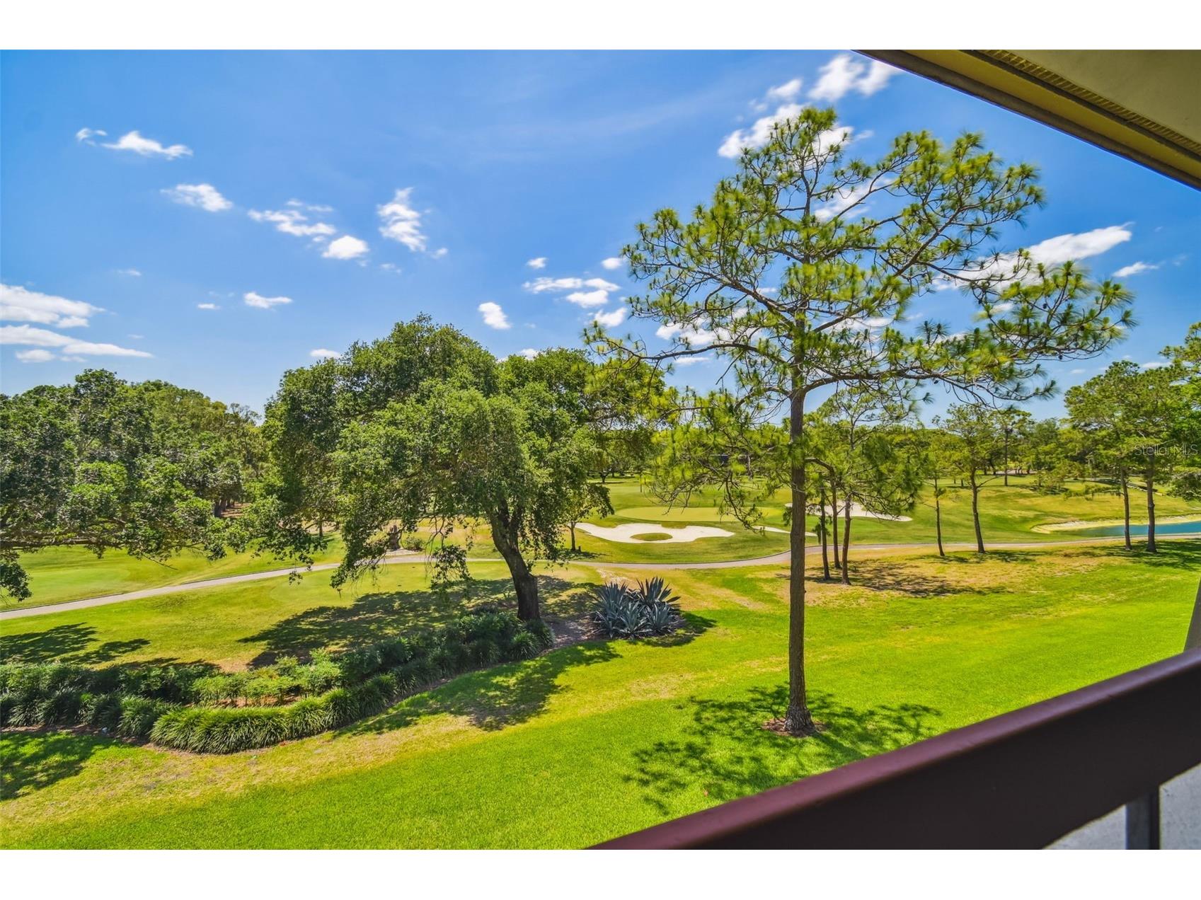 36750 Us Highway 19 N #13303 Palm Harbor FL 34684 TB8460324 image44