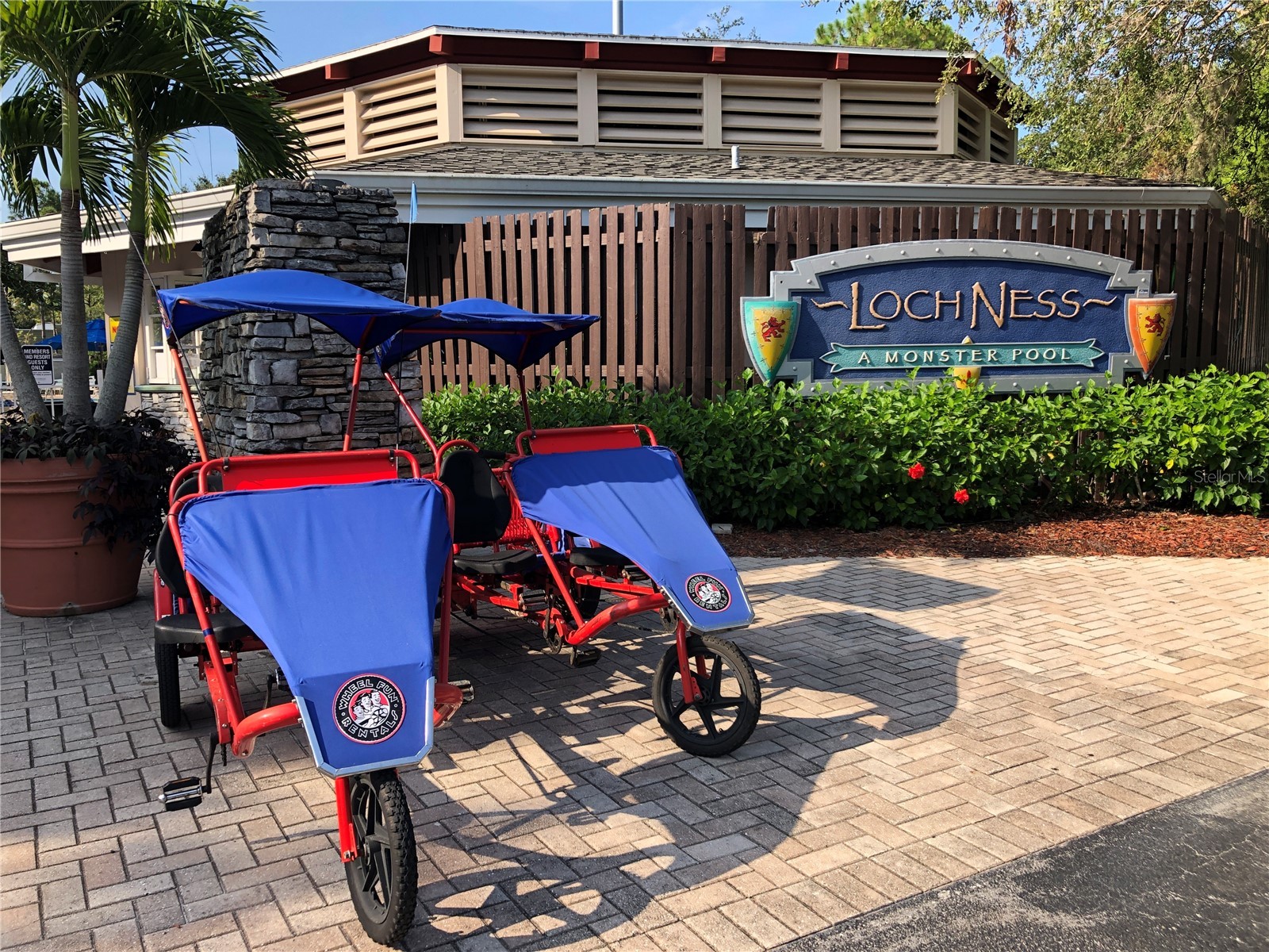 36750 Us Highway 19 N #13303 Palm Harbor FL 34684 TB8460324 image50
