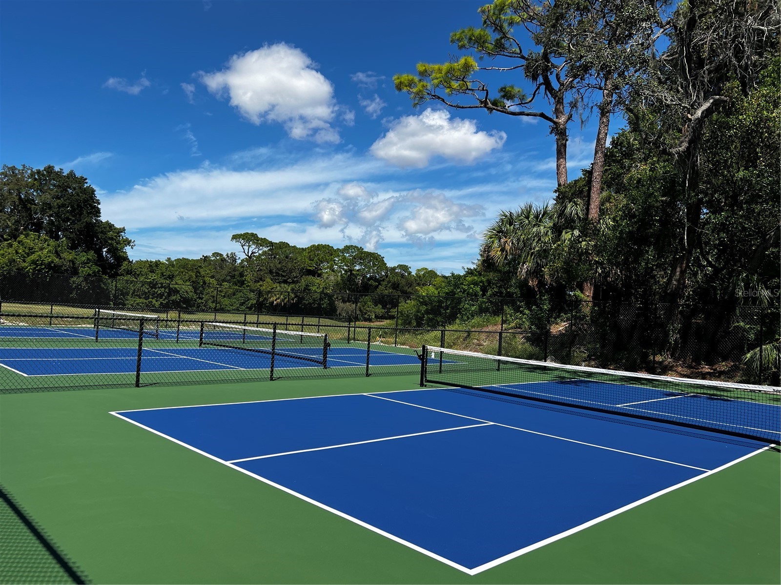 36750 Us Highway 19 N #13303 Palm Harbor FL 34684 TB8460324 image62