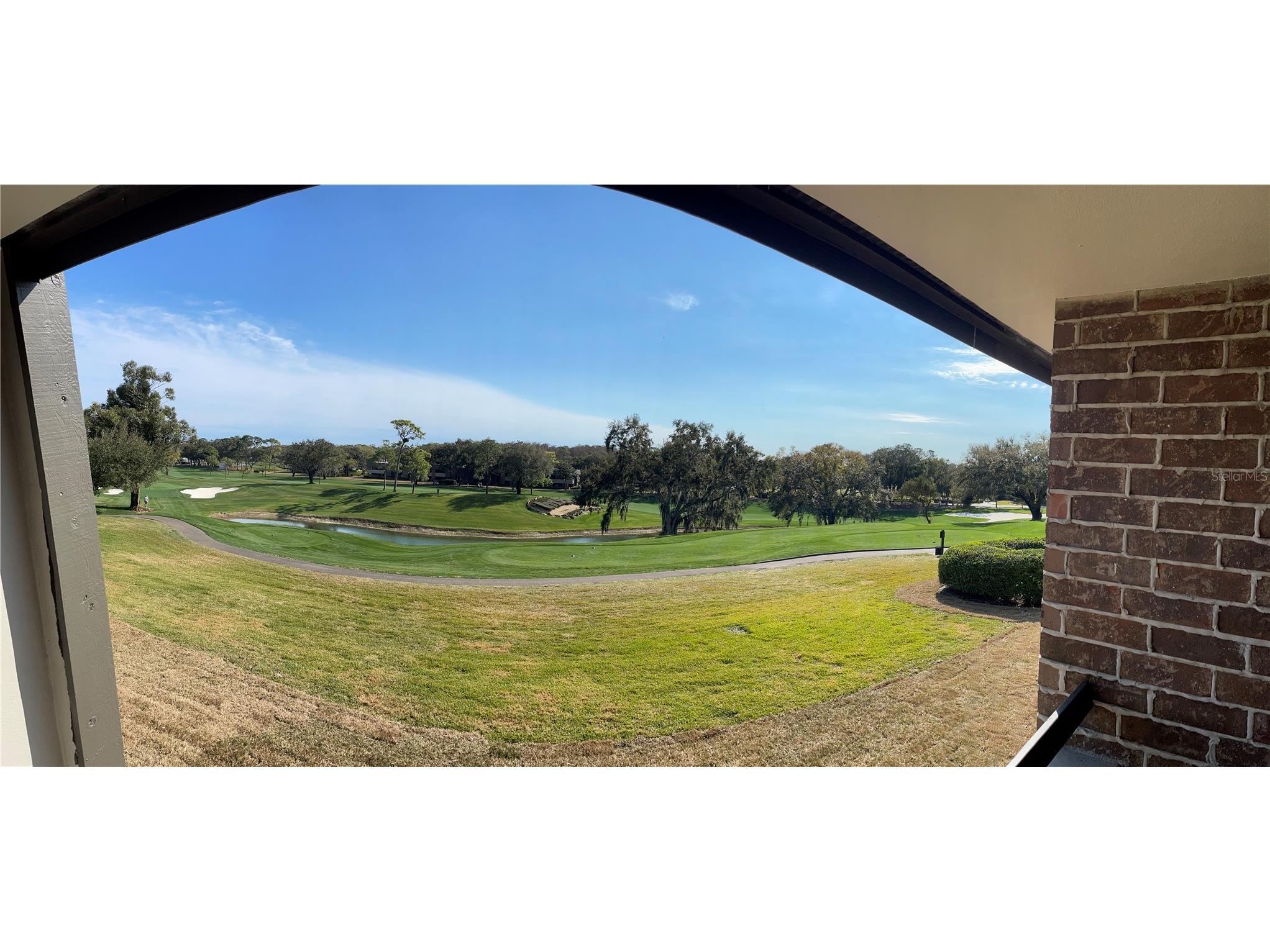 36750 Us Highway 19 N #14-211 Palm Harbor FL 34683 TB8475762 image18