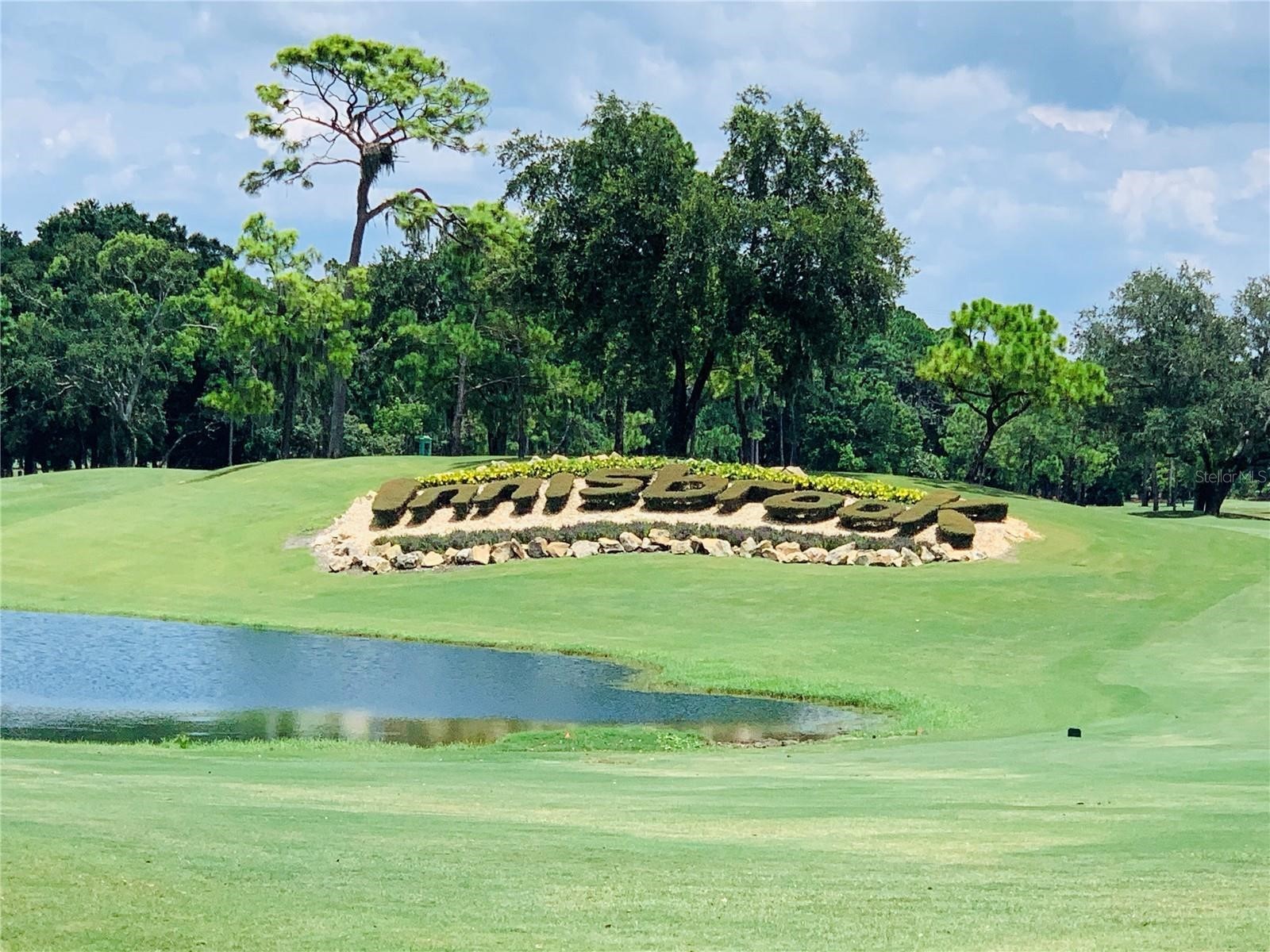 36750 Us Highway 19 N #14-211 Palm Harbor FL 34683 TB8475762 image19