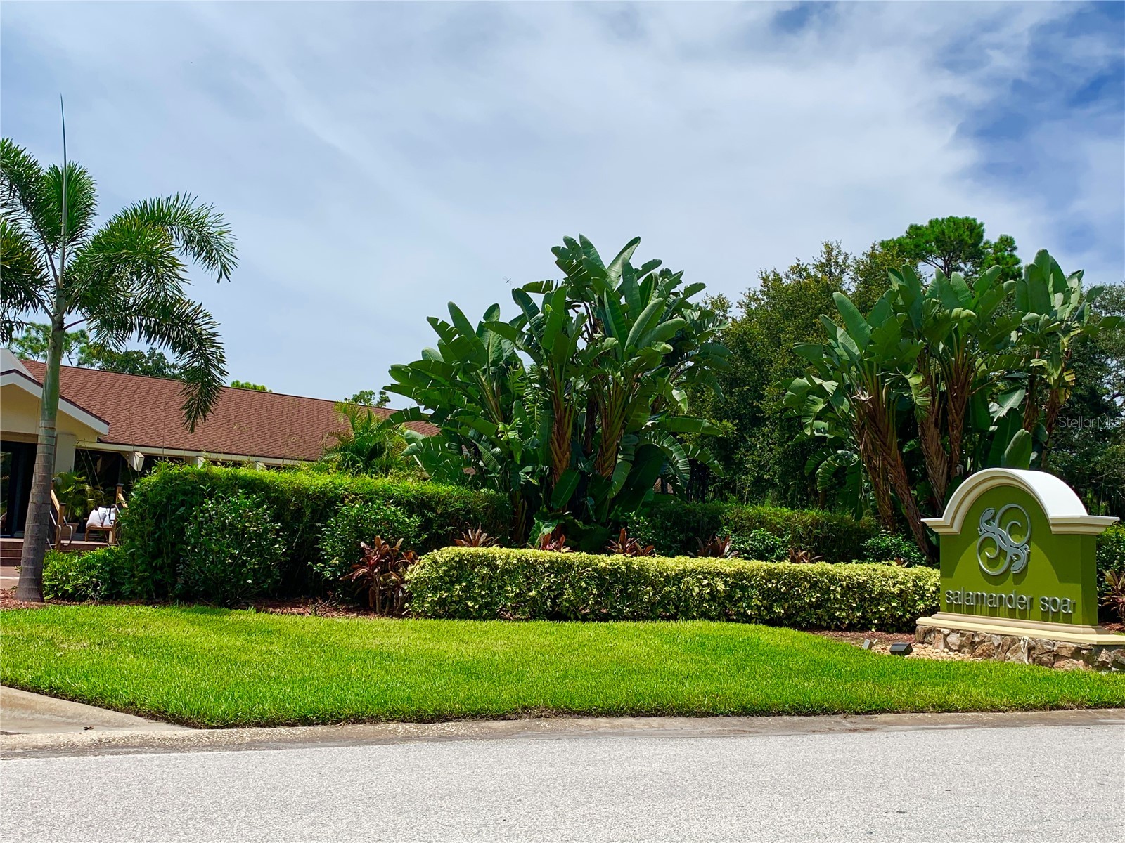 36750 Us Highway 19 N #14-211 Palm Harbor FL 34683 TB8475762 image23