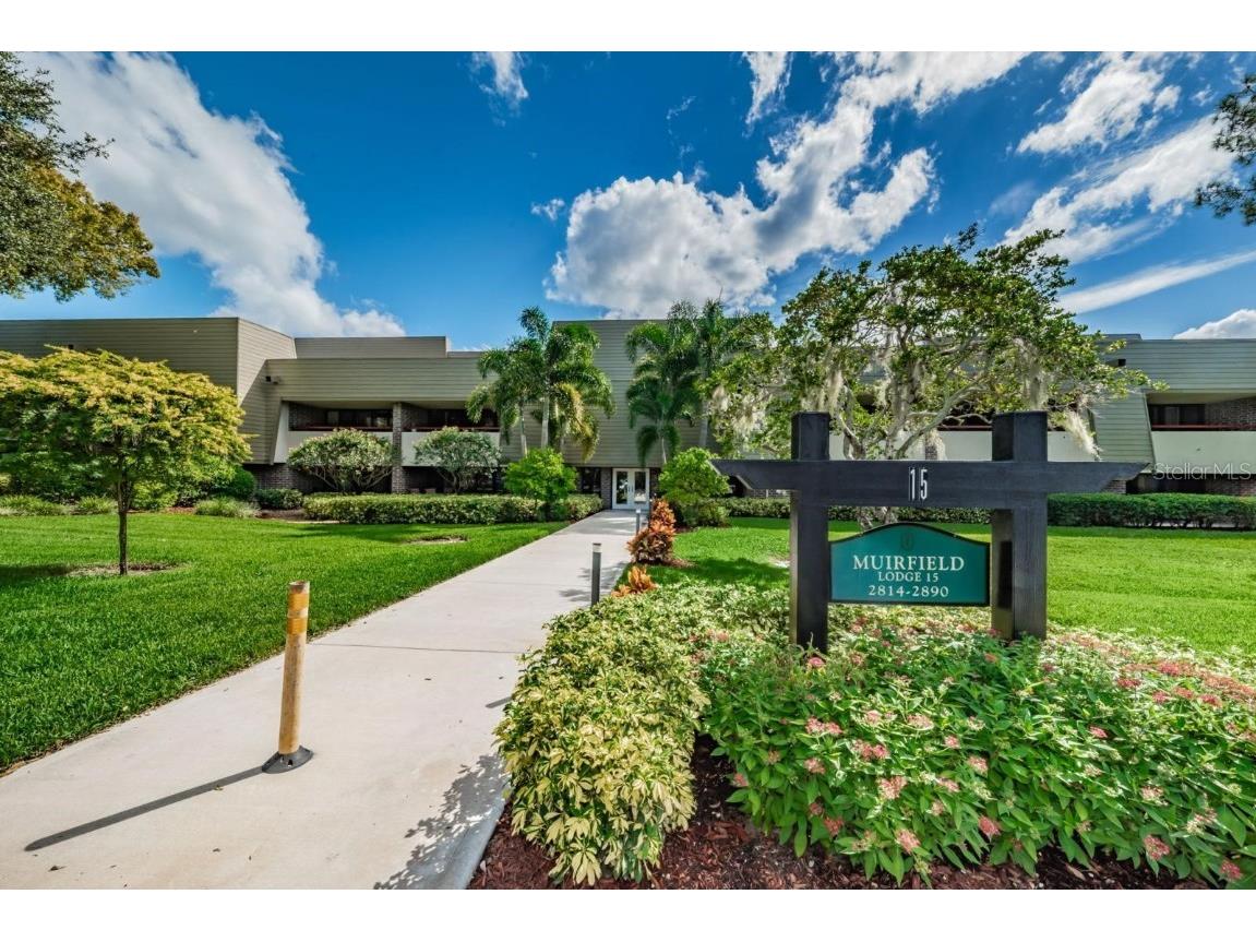 36750 Us Highway 19 N #15-308 Palm Harbor FL 34683 TB8452102 image1