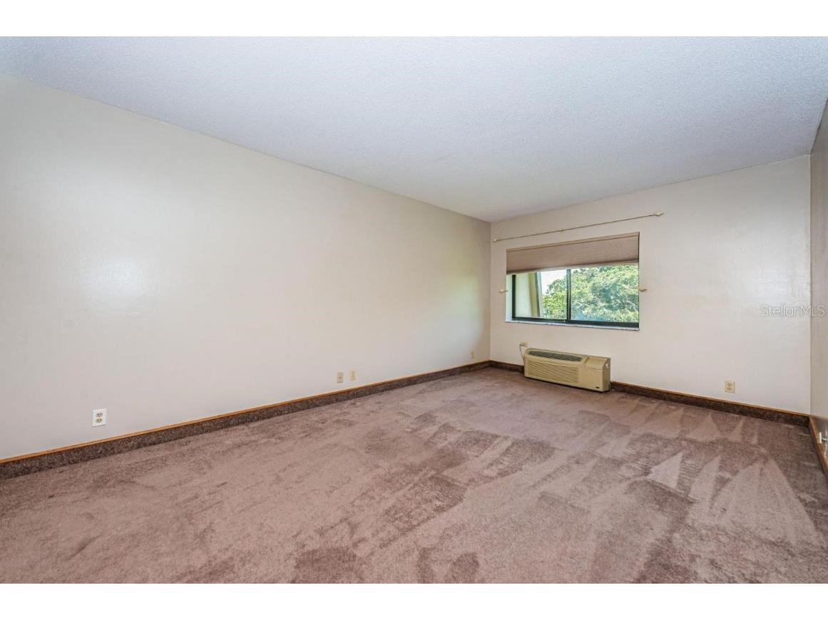 36750 Us Highway 19 N #15-308 Palm Harbor FL 34683 TB8452102 image18