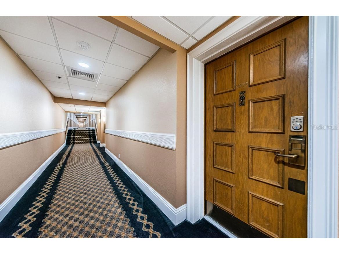 36750 Us Highway 19 N #15-308 Palm Harbor FL 34683 TB8452102 image24