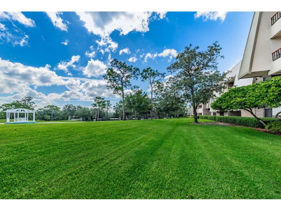 36750 Us Highway 19 N #15-308 Palm Harbor FL 34683 TB8452102 image25