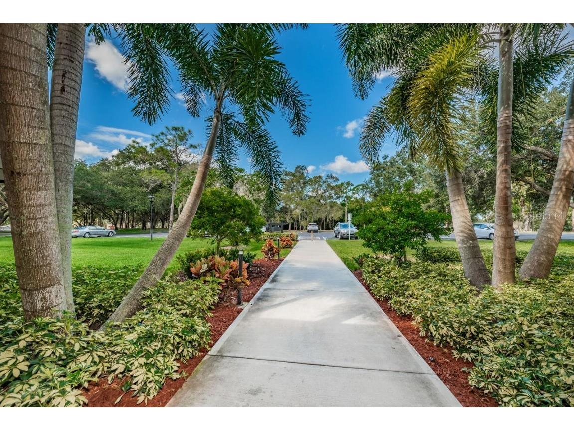 36750 Us Highway 19 N #15-308 Palm Harbor FL 34683 TB8452102 image30