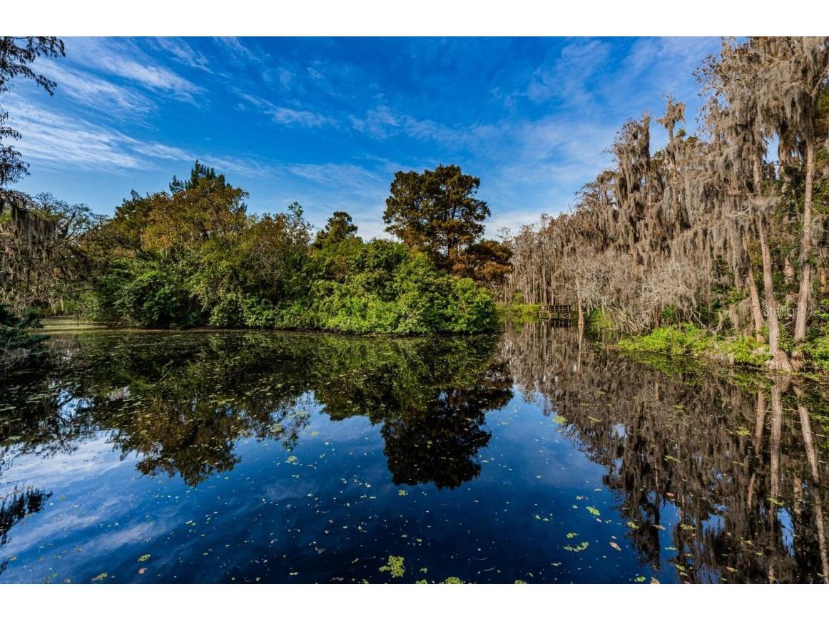 36750 Us Highway 19 N #15-308 Palm Harbor FL 34683 TB8452102 image33