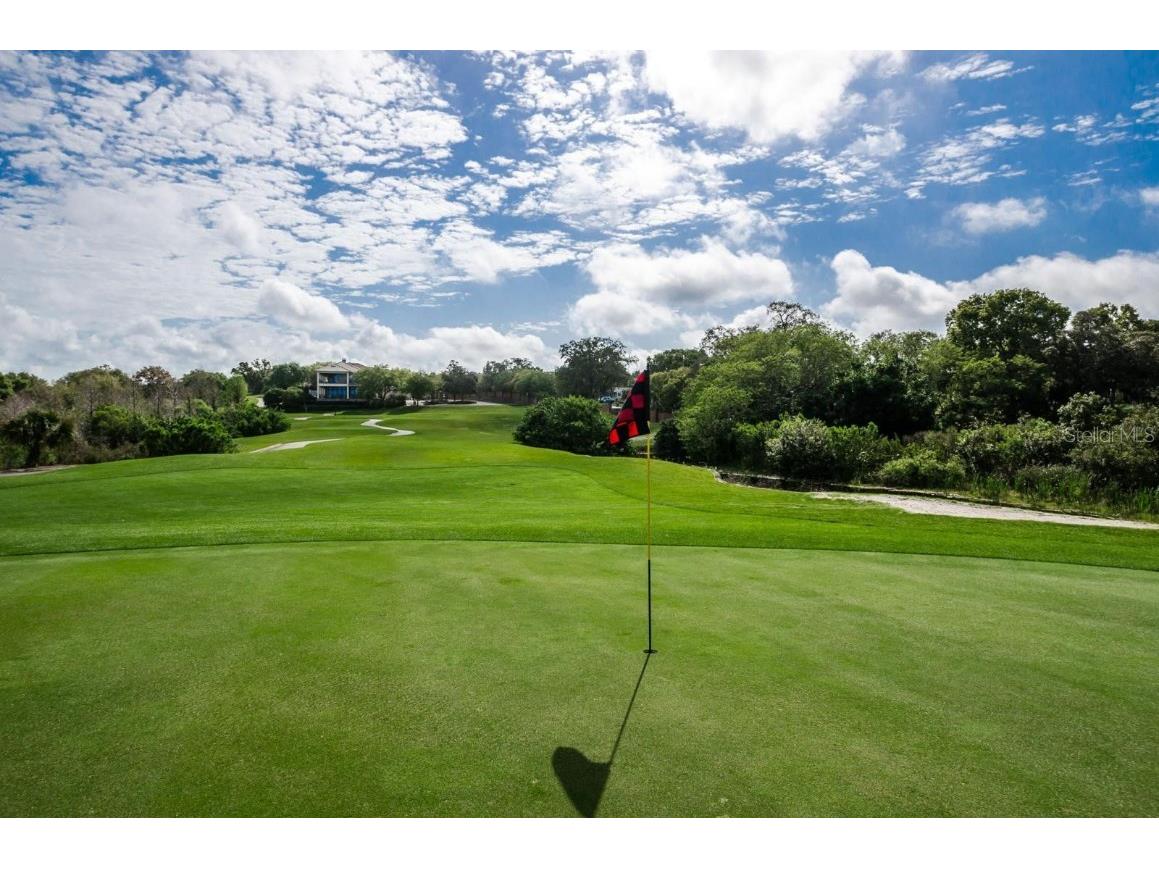 36750 Us Highway 19 N #15-308 Palm Harbor FL 34683 TB8452102 image39