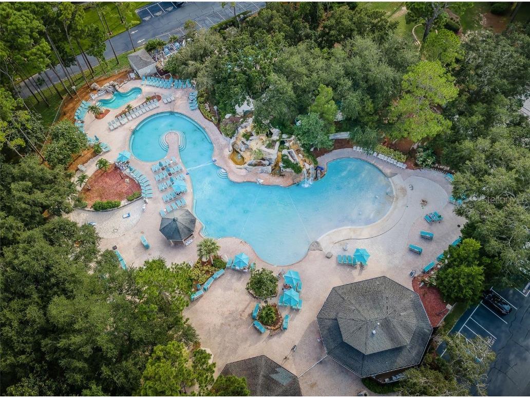 36750 Us Highway 19 N #15-308 Palm Harbor FL 34684 TB8452198 image11