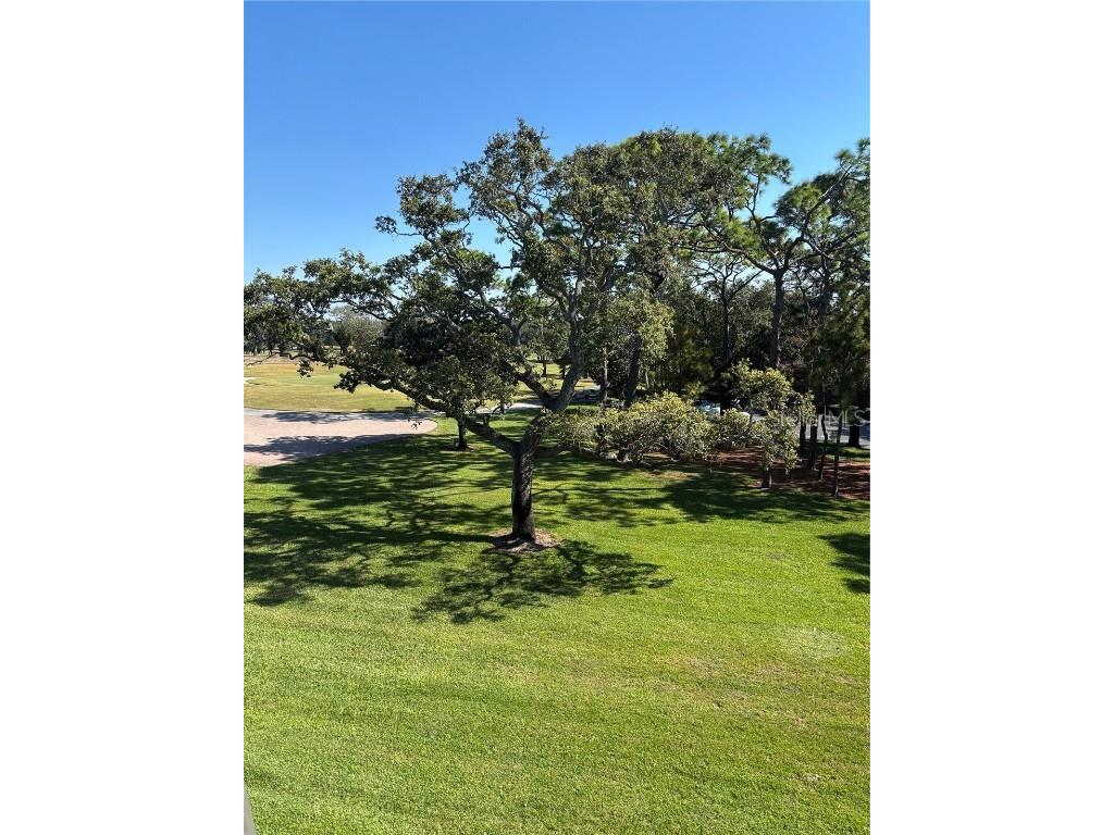 36750 Us Highway 19 N #15-308 Palm Harbor FL 34684 TB8452198 image4