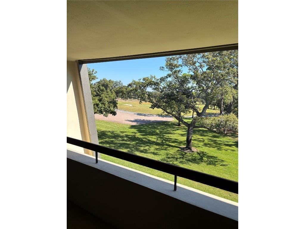 36750 Us Highway 19 N #15-308 Palm Harbor FL 34684 TB8452198 image5