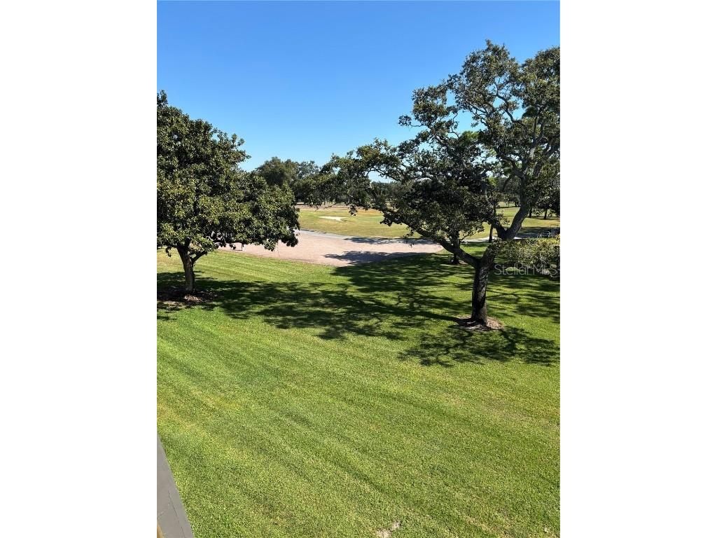 36750 Us Highway 19 N #15-308 Palm Harbor FL 34684 TB8452198 image6