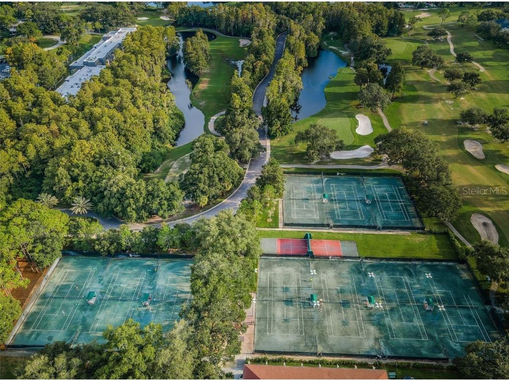 36750 Us Highway 19 N #15-308 Palm Harbor FL 34684 TB8452198 image8