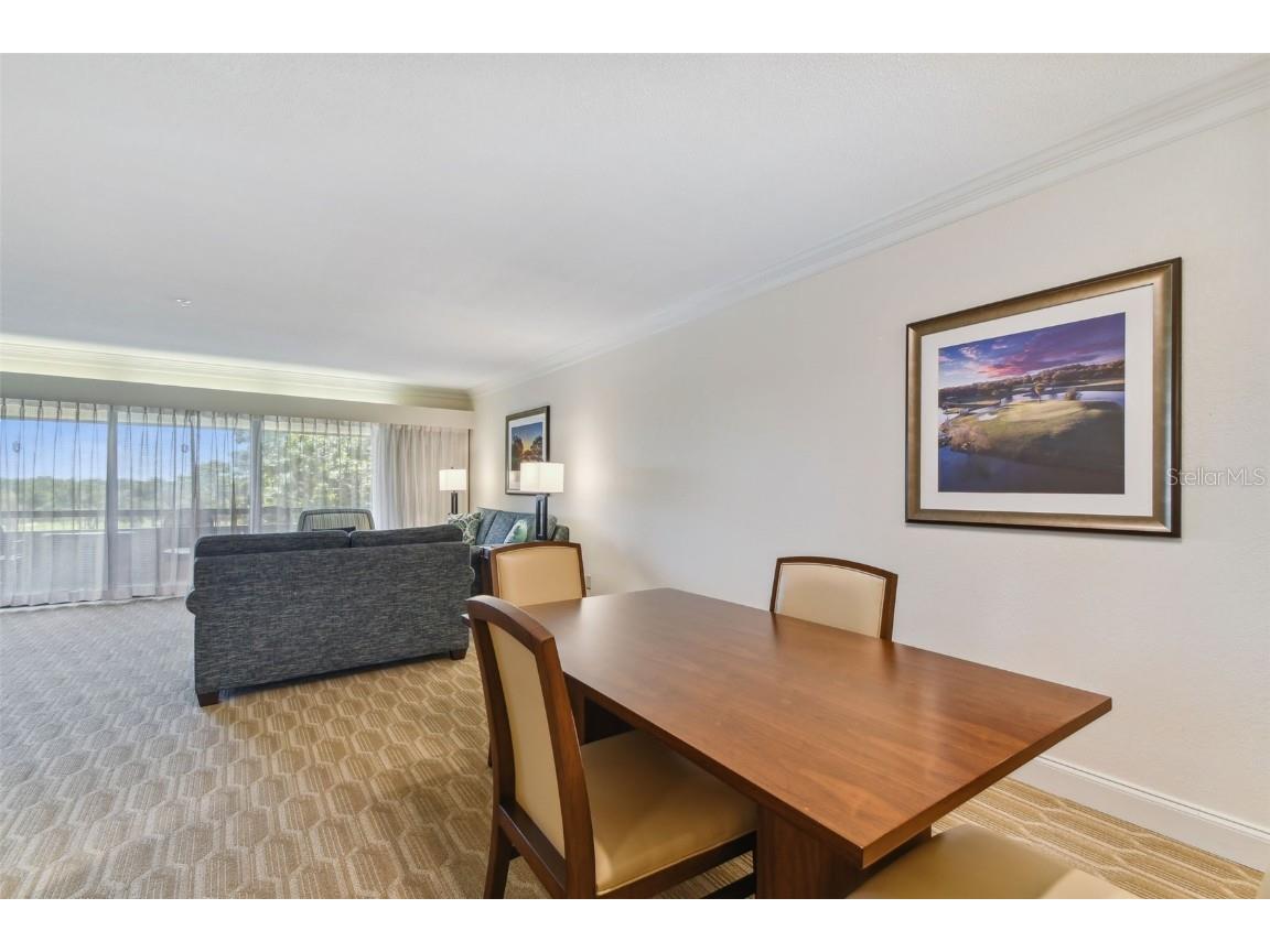 36750 Us Highway 19 N #15305 Palm Harbor FL 34684 U8251959 image11