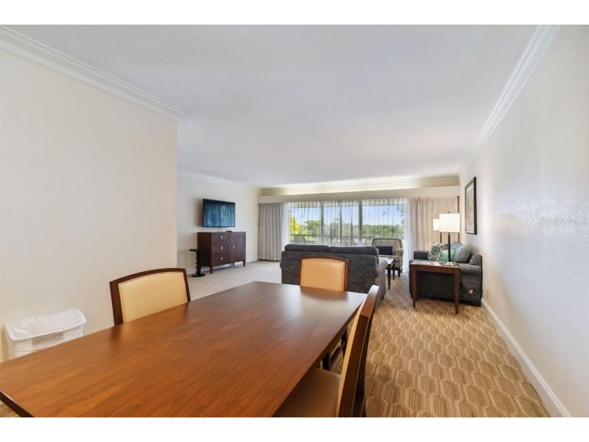 36750 Us Highway 19 N #15305 Palm Harbor FL 34684 U8251959 image14