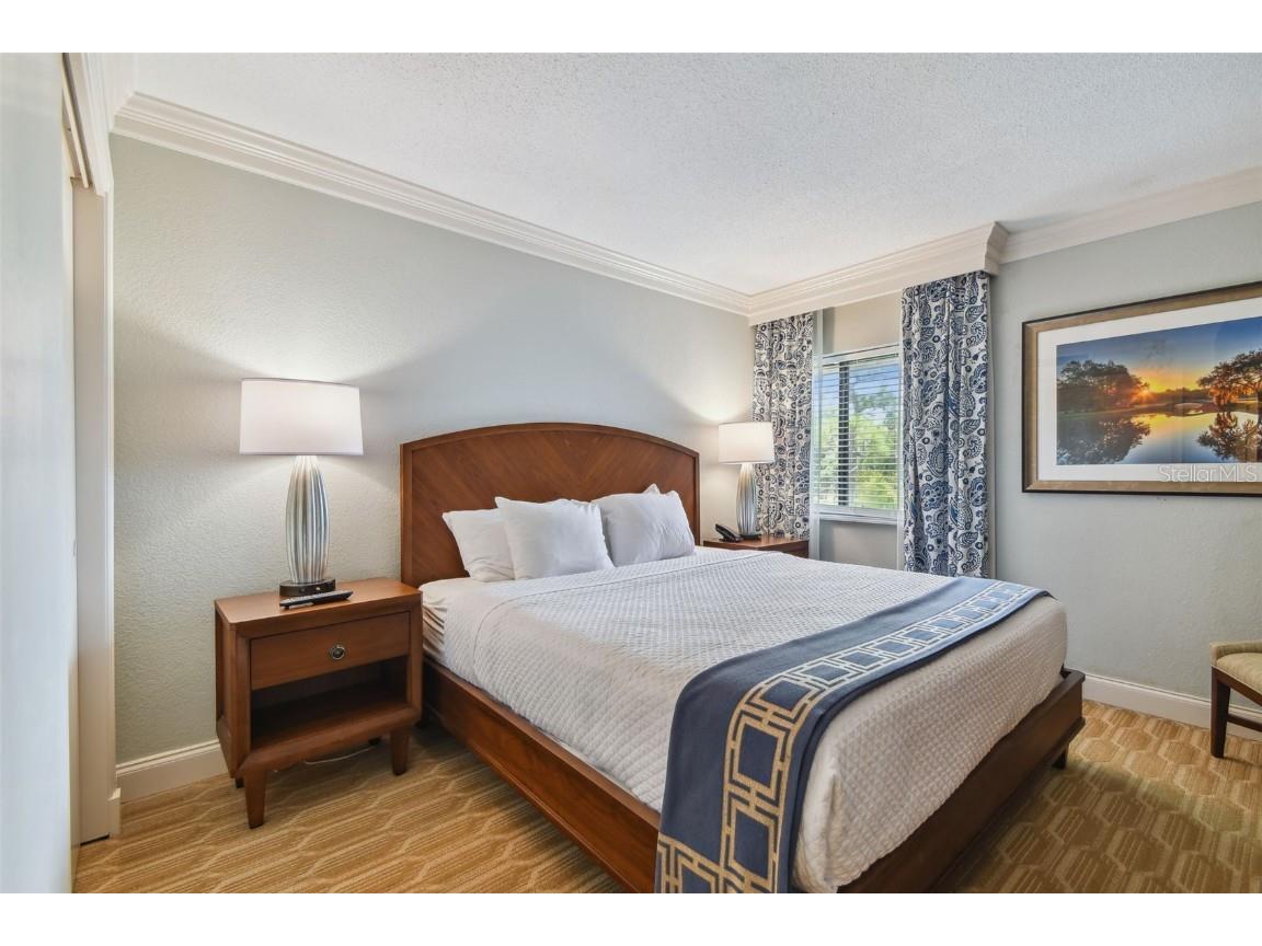 36750 Us Highway 19 N #15305 Palm Harbor FL 34684 U8251959 image29