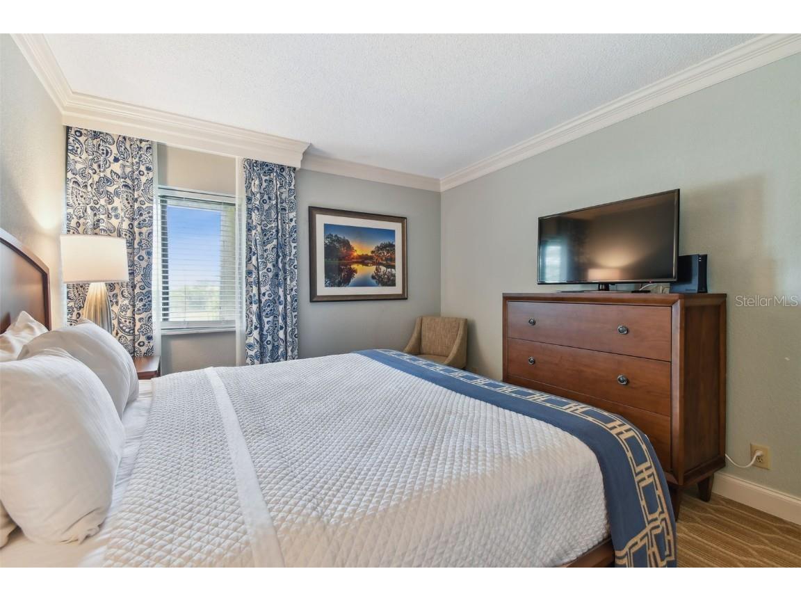 36750 Us Highway 19 N #15305 Palm Harbor FL 34684 U8251959 image30