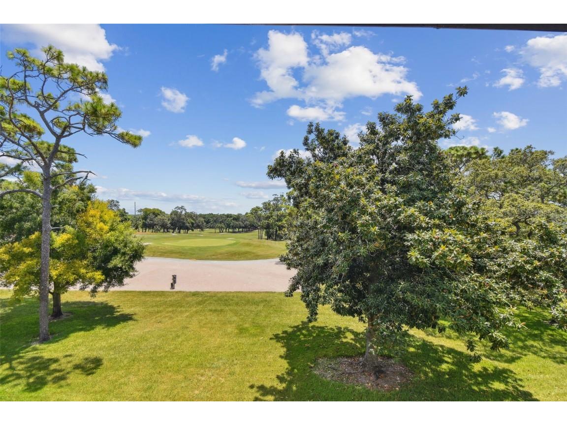 36750 Us Highway 19 N #15305 Palm Harbor FL 34684 U8251959 image38