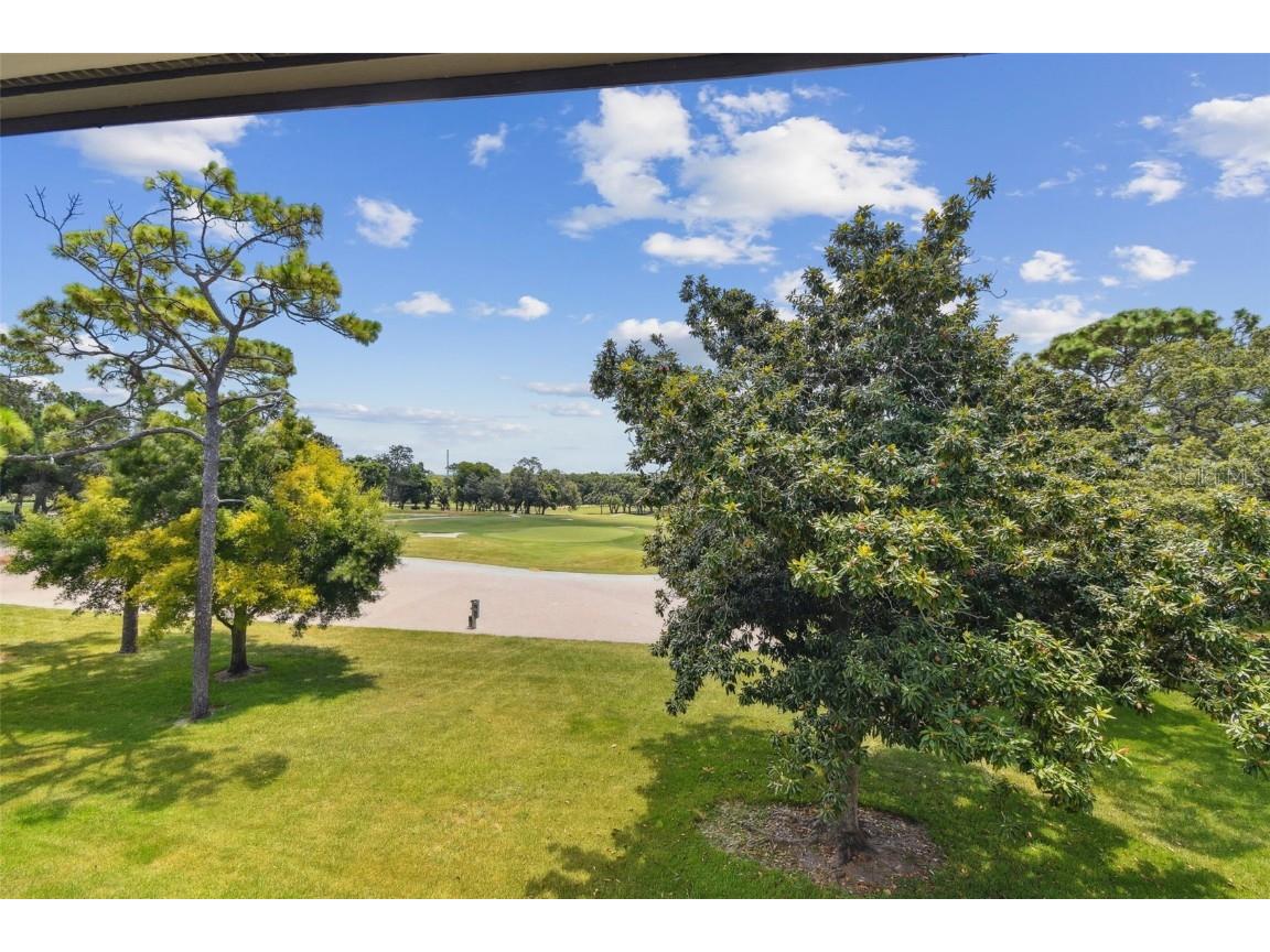 36750 Us Highway 19 N #15305 Palm Harbor FL 34684 U8251959 image39