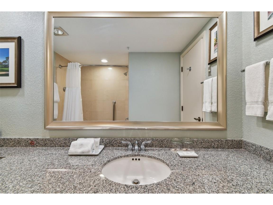 36750 Us Highway 19 N #15305 Palm Harbor FL 34684 U8251959 image52