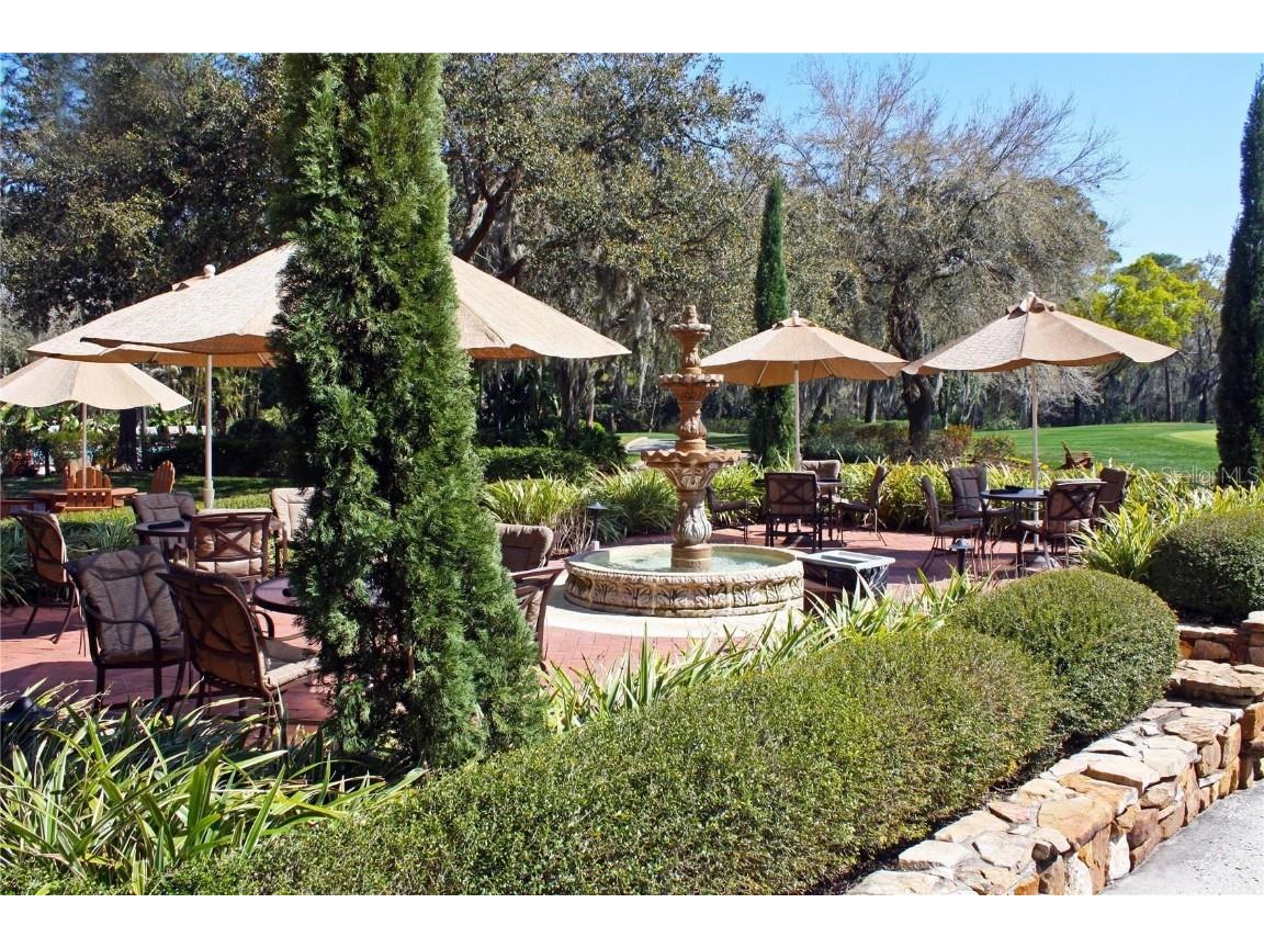 36750 Us Highway 19 N #15305 Palm Harbor FL 34684 U8251959 image63