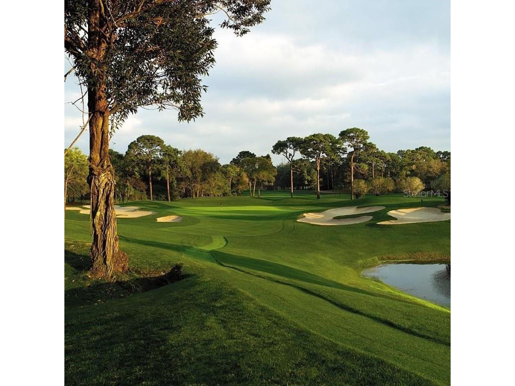 36750 Us Highway 19 N #15305 Palm Harbor FL 34684 U8251959 image69