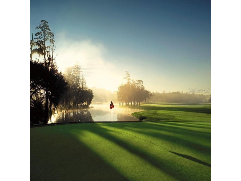 36750 Us Highway 19 N #15305 Palm Harbor FL 34684 U8251959 image71